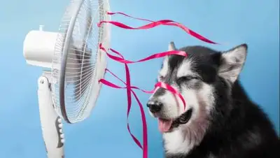 profile, фото - Новости Zakon.kz от 15.07.2021 07:40