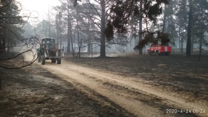 Огонь в сосновом бору в ВКО остановлен