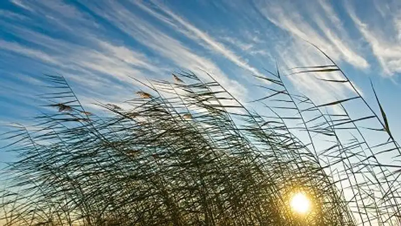 25 апреля в Казахстане погода будет ветреной с осадками