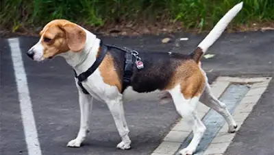 Zakon.kz, фото - Новости Zakon.kz от 21.10.2015 23:01