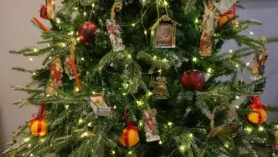 zakon.kz, фото - Новости Zakon.kz от 11.12.2020 15:12