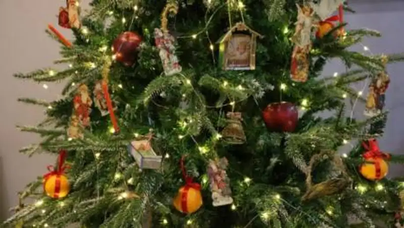 В Алматы установят прошлогодние елки