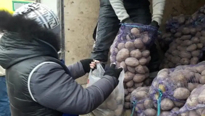 В Атырау в честь праздника проходит сельскохозяйственная ярмарка