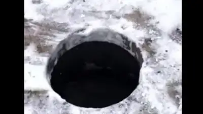 Zakon.kz, фото - Новости Zakon.kz от 10.12.2017 23:41