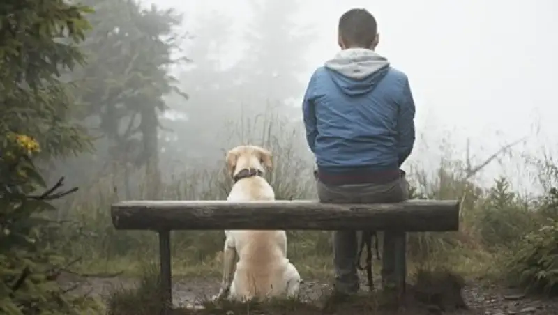 В Казахстане ожидается понижение температуры