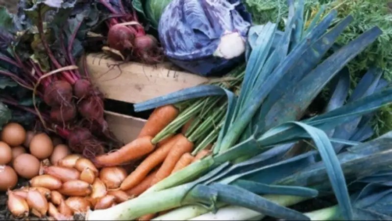 Как будут производить органическую продукцию в Казахстане