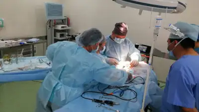 управление общественного здоровья Алматы, фото - Новости Zakon.kz от 23.10.2019 17:28