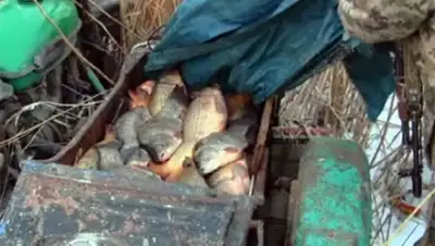 Zakon.kz, фото - Новости Zakon.kz от 29.03.2016 15:27