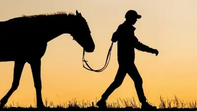 Inbusiness.kz, фото - Новости Zakon.kz от 15.11.2019 13:22