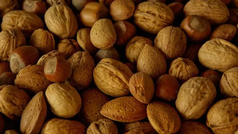 Какие орехи вредны для организма, рассказал врач
