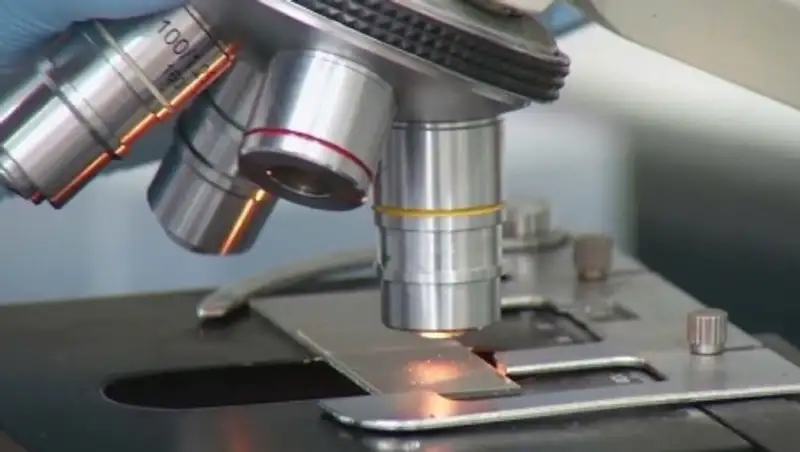 Британские ученые выяснили, что им нельзя верить