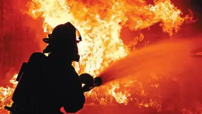 en-media.tv, фото - Новости Zakon.kz от 07.11.2018 11:11