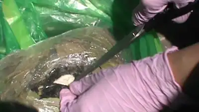 ДВД СКО, фото - Новости Zakon.kz от 02.07.2018 12:12