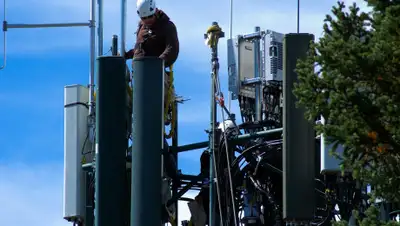 Pixabay, фото - Новости Zakon.kz от 03.05.2020 00:09