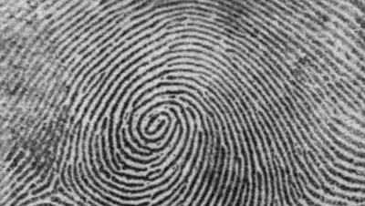 Zakon.kz, фото - Новости Zakon.kz от 18.05.2015 22:41