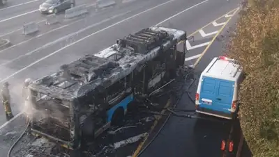 очевидца, фото - Новости Zakon.kz от 24.10.2019 10:13