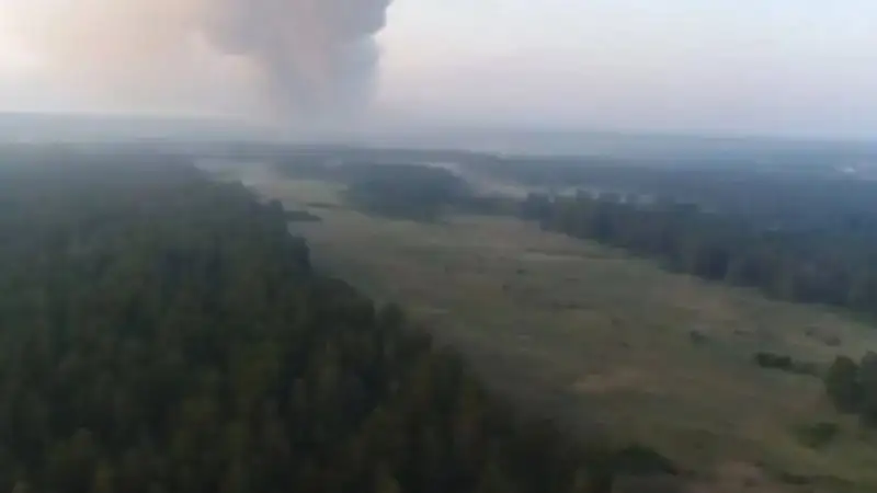 Площадь лесного пожара в Абайской области достиг 1000 гектаров , фото - Новости Zakon.kz от 23.05.2023 14:30