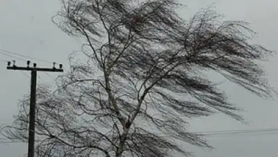 Zakon.kz, фото - Новости Zakon.kz от 08.06.2015 22:10