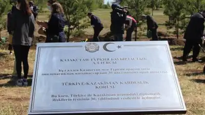 astana.gov.kz, фото - Новости Zakon.kz от 07.06.2021 09:43