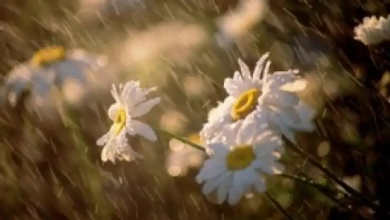 22 июня на большей части Казахстана пройдут дожди с грозами