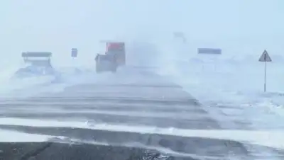 zakon.kz, фото - Новости Zakon.kz от 22.10.2021 19:17