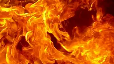 pixabay.com, фото - Новости Zakon.kz от 22.12.2020 13:09