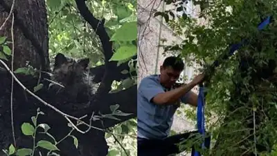 instagram.com/ainabulak_, фото - Новости Zakon.kz от 20.05.2021 23:54