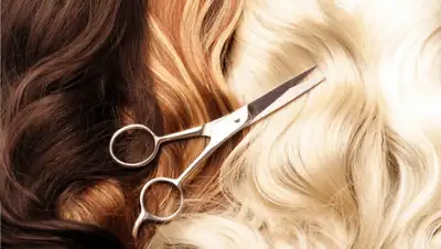 sk-sakura.kz, фото - Новости Zakon.kz от 05.05.2020 10:50