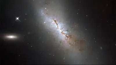 Zakon.kz, фото - Новости Zakon.kz от 22.07.2015 07:56