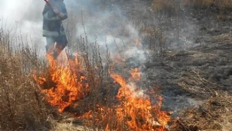Сухостой на площади 900 кв. м. горел в Астане