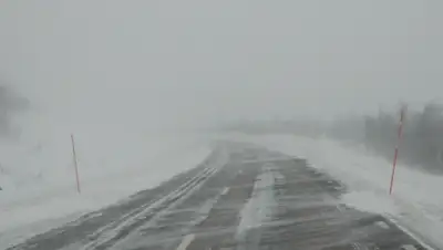 Zakon.kz, фото - Новости Zakon.kz от 20.11.2015 13:06