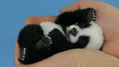 Zakon.kz, фото - Новости Zakon.kz от 01.06.2016 14:44