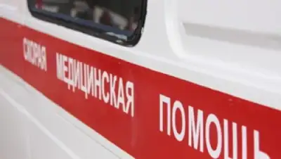 Zakon.kz, фото - Новости Zakon.kz от 11.09.2015 16:51