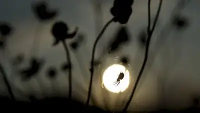 Zakon.kz, фото - Новости Zakon.kz от 17.10.2014 15:16