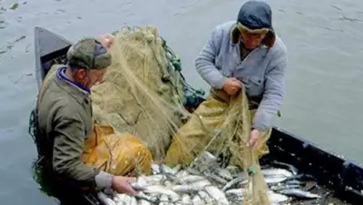 Zakon.kz, фото - Новости Zakon.kz от 12.05.2015 20:54