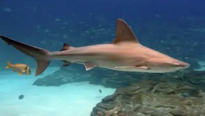 Zakon.kz, фото - Новости Zakon.kz от 03.05.2016 02:38