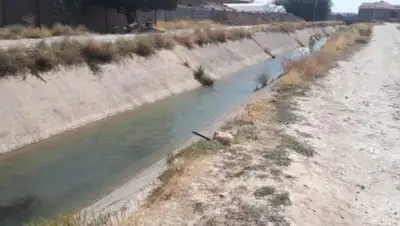 otyrar.kz, фото - Новости Zakon.kz от 26.07.2018 15:52