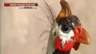 Zakon.kz, фото - Новости Zakon.kz от 07.10.2014 16:26