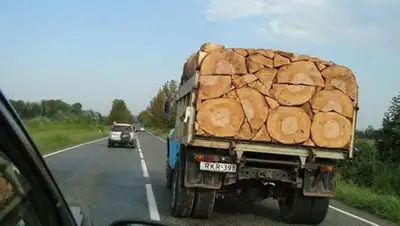 Zakon.kz, фото - Новости Zakon.kz от 07.11.2017 10:28