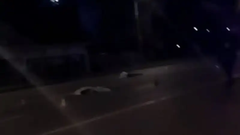 Водитель сбил насмерть двух пешеходов в Алматы. Его задержали