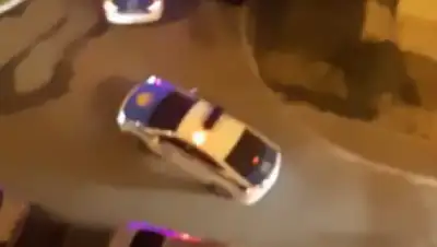 Кадр из видео, фото - Новости Zakon.kz от 12.08.2020 12:23