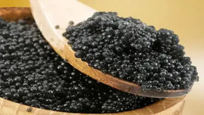 tchesnok.ru, фото - Новости Zakon.kz от 13.12.2019 17:55