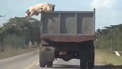 Zakon.kz, фото - Новости Zakon.kz от 14.06.2014 03:13