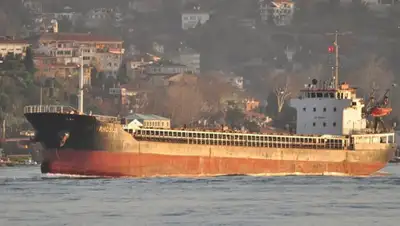 kazlenta, фото - Новости Zakon.kz от 08.08.2020 10:33