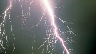 Zakon.kz, фото - Новости Zakon.kz от 24.10.2017 01:00