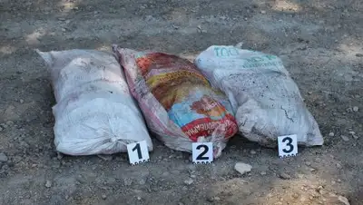 Zakon.kz, фото - Новости Zakon.kz от 13.07.2017 15:31