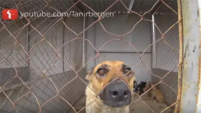 Zakon.kz, фото - Новости Zakon.kz от 14.07.2017 16:22