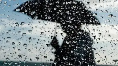 из открытых источников, фото - Новости Zakon.kz от 30.07.2018 12:14