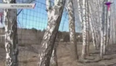 Zakon.kz, фото - Новости Zakon.kz от 01.04.2014 15:07