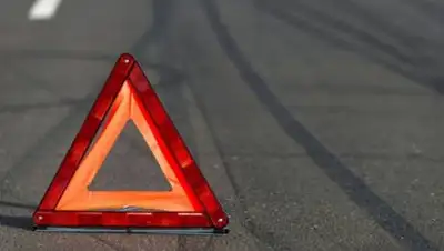 zakon.kz., фото - Новости Zakon.kz от 22.11.2020 15:35